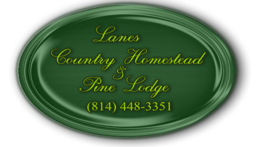 Lanes Logo